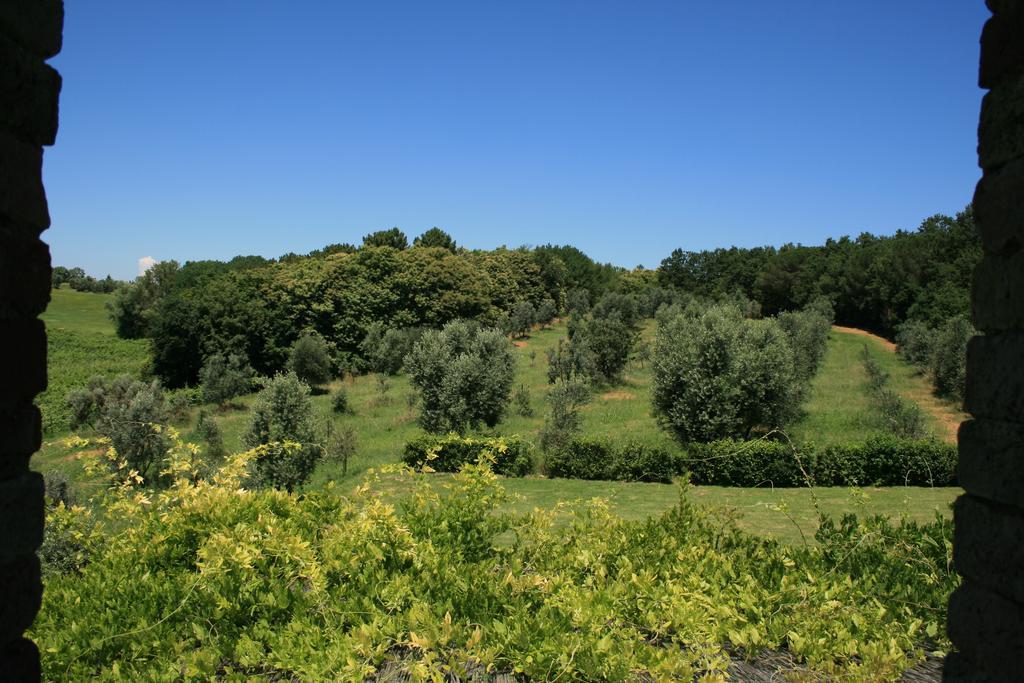 Tenuta Di Monaciano Ponte A Bozzone Cameră foto